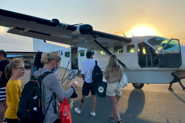 Day Trip Fly-in Safari to Mikumi National Park from Zanzibar