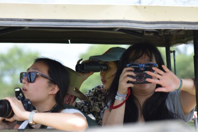 Day Trip Fly-in Safari to Selous Game Reserve from Zanzibar