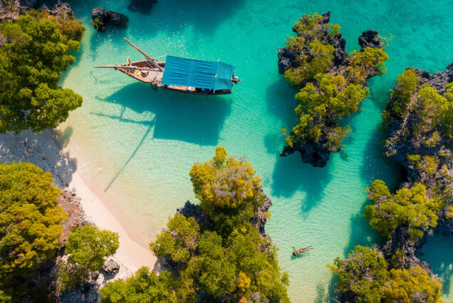 Safari Blue Experience