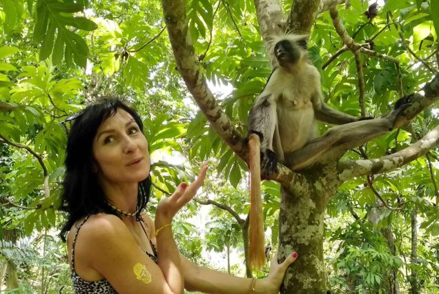 Exploring Jozani Forest, Spice Farms & Stone Town City