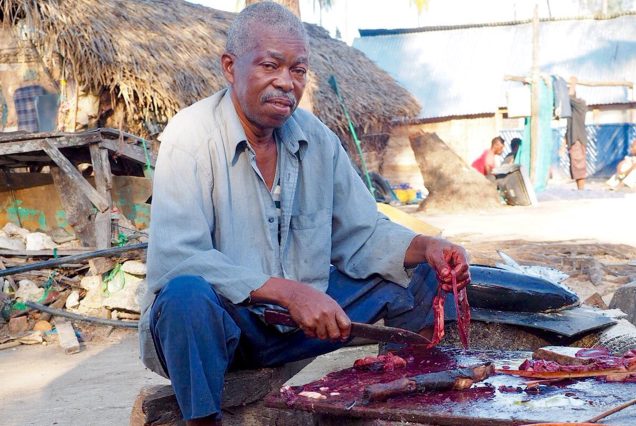 Nungwi Day Trip Cultural Experience