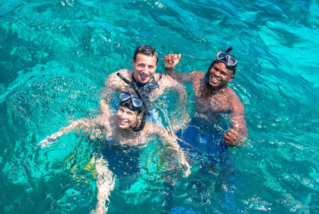 Safari Blue Experience