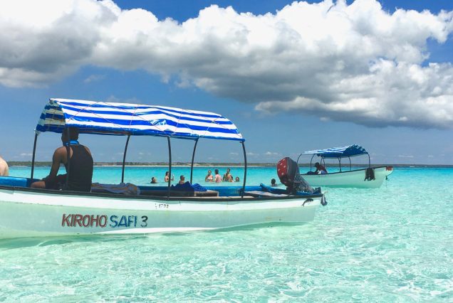 Snorkeling at Mnemba Atoll With Nungwi Day Trip Cultural Experience