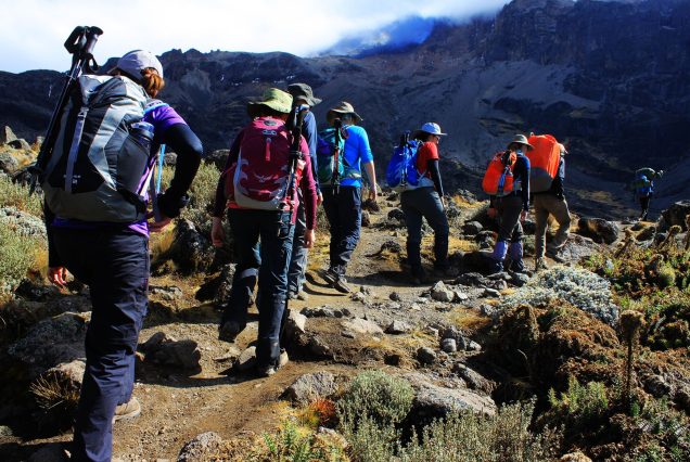 Marangu Route 6 Days Kilimanjaro Climbing