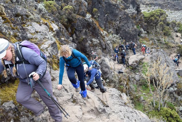 Umbwe Route 6 Days Kilimanjaro Climbing