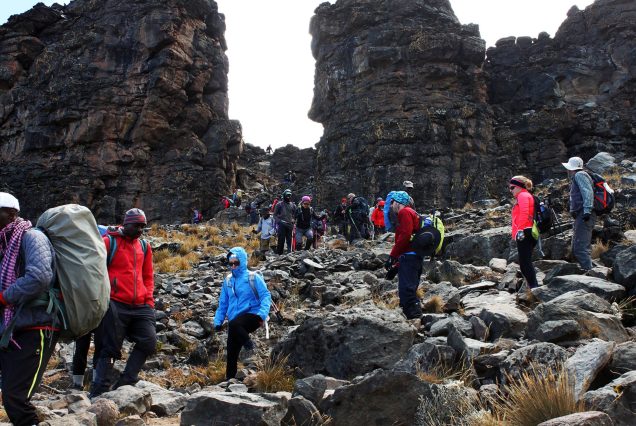 7 Days Rongai Route Kilimanjaro Climbing